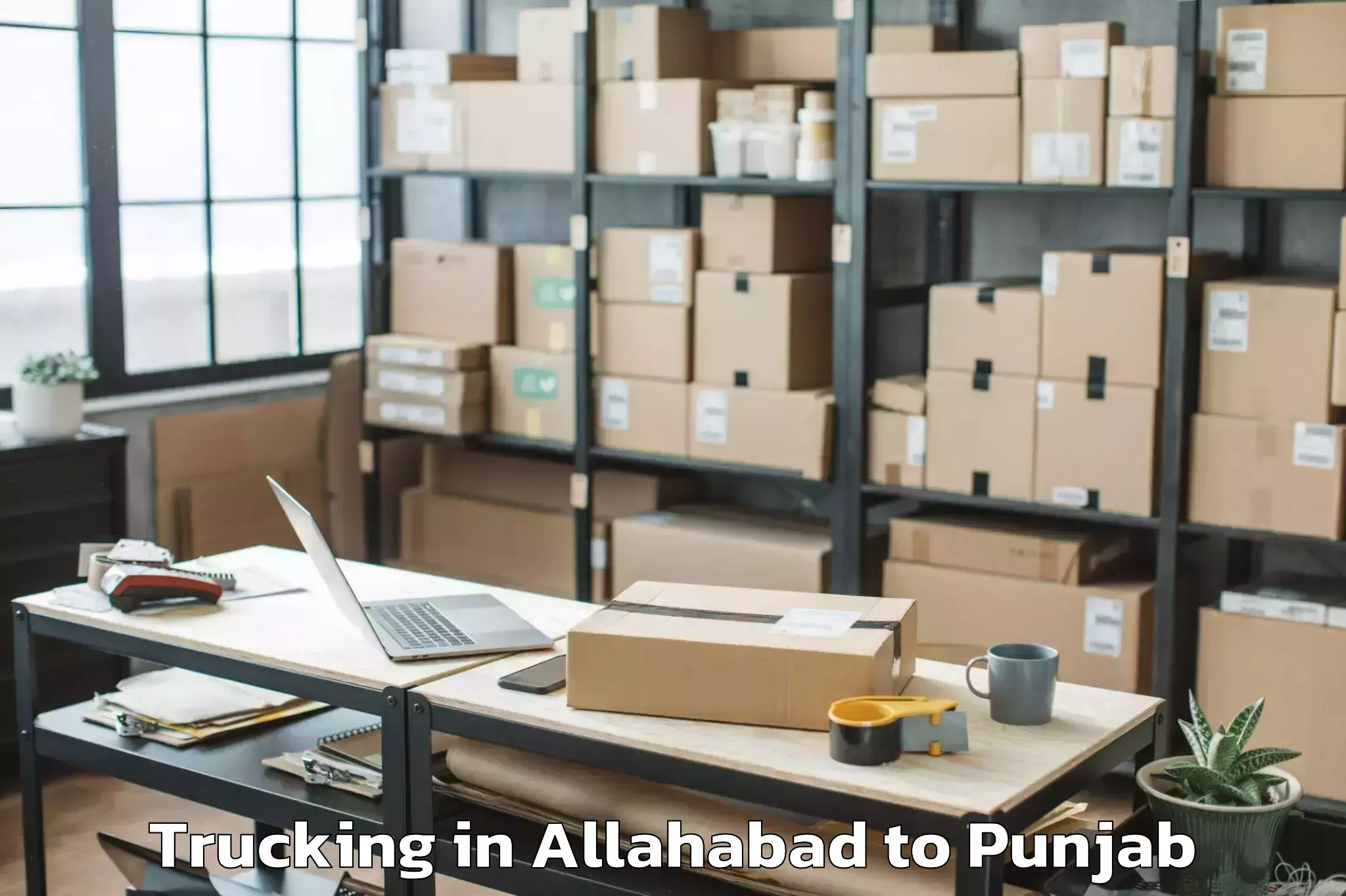 Professional Allahabad to Badhni Kalan Trucking